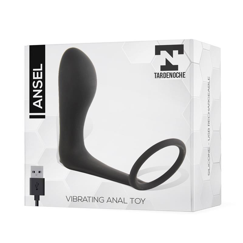 Ansel Plug Anal vibrant et Anneau USB Silicone