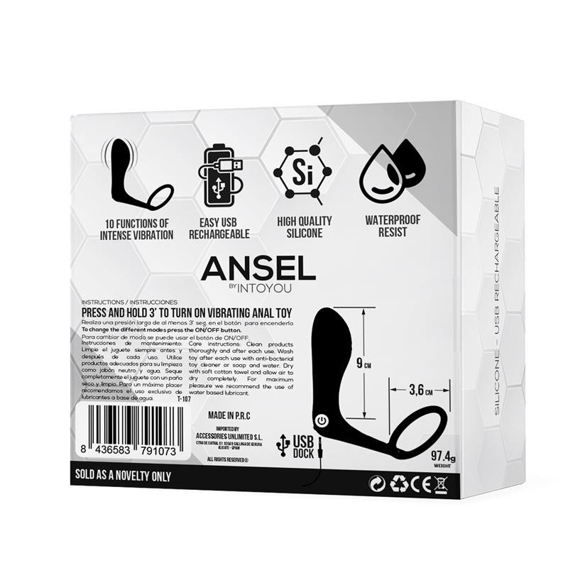 Ansel Plug Anal vibrant et Anneau USB Silicone