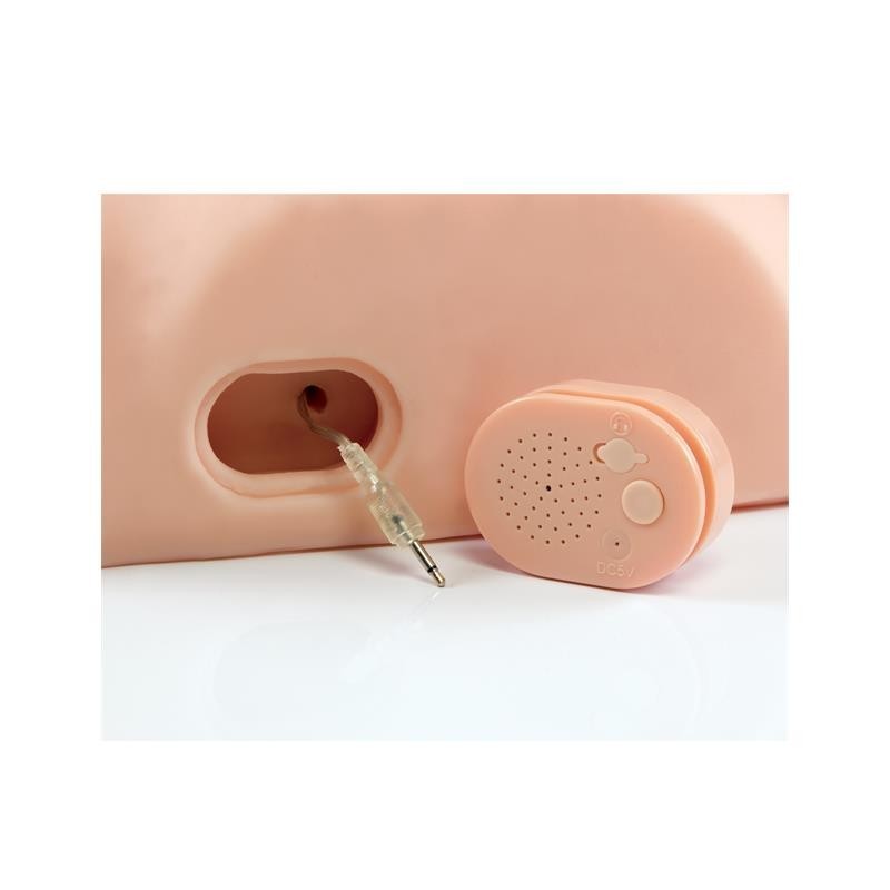 Masturbateur interactif, paroles cochonnes, baise-le bêtement