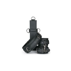 Ensemble de attaches avec harnais et menottes