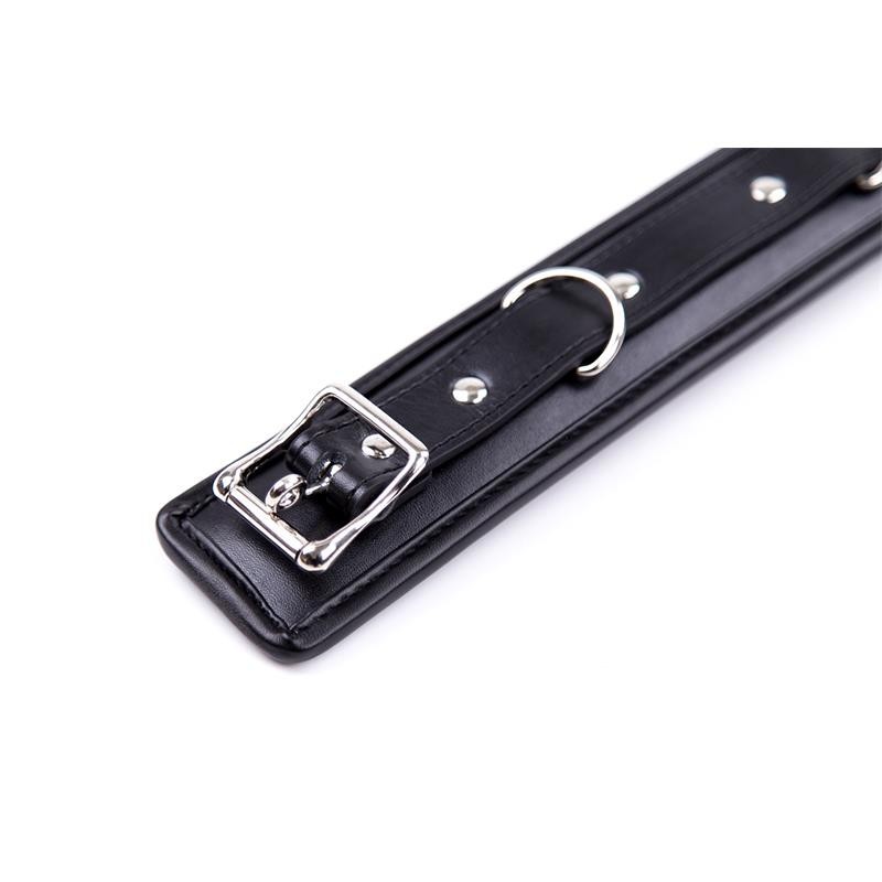 Collier avec laisse en metal et Intérieur Rembourré noir