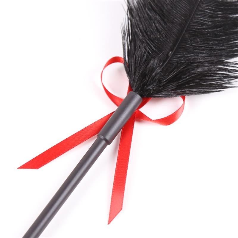 plumes et tapette 2 en 1 36 cm Noir/rouge