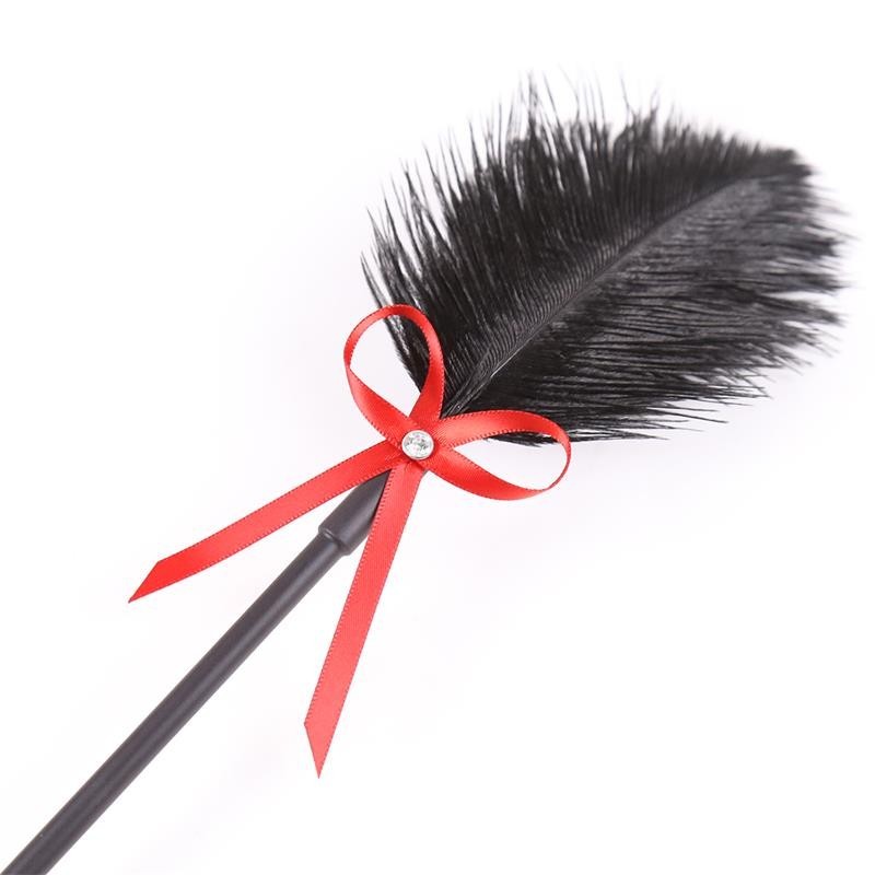 plumes et tapette 2 en 1 36 cm Noir/rouge