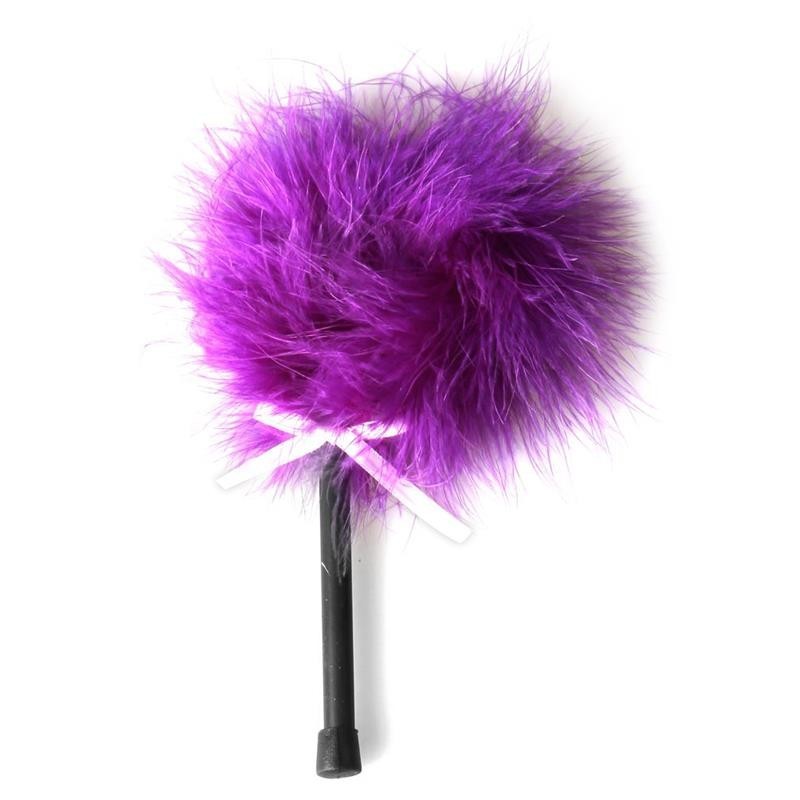 porte plume au plumes violet