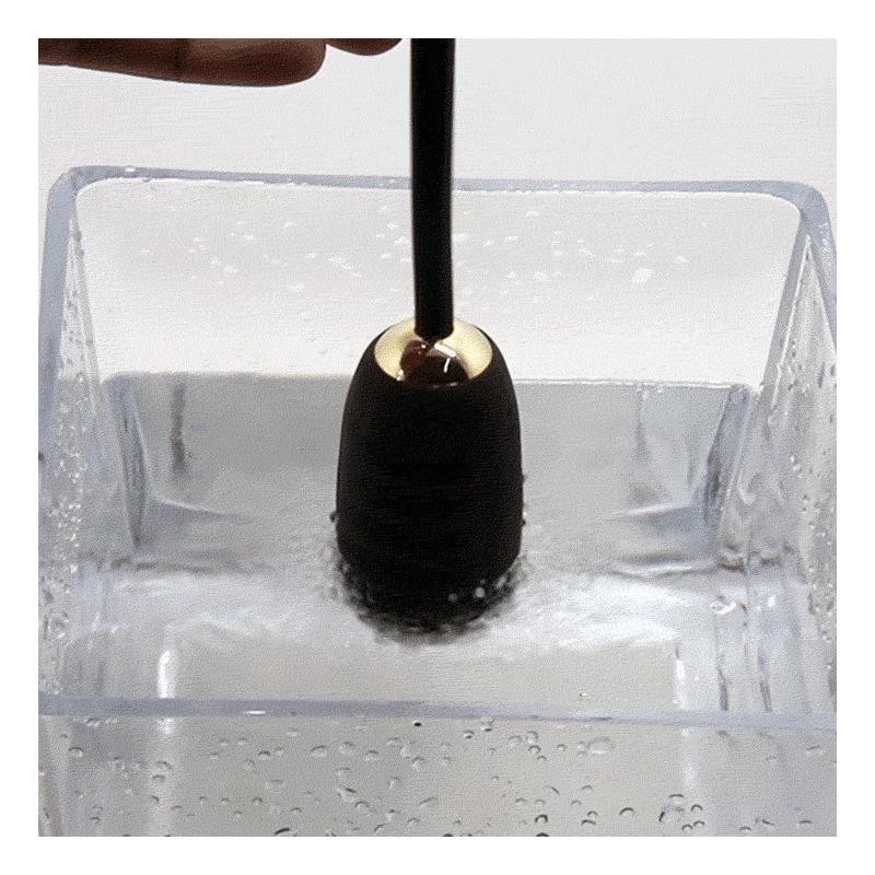 boule Kegel avec télécommande Royal Pleasure