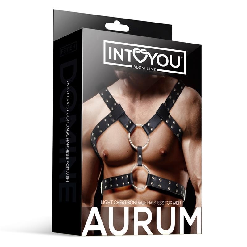 Aurum harnais Masculin pour Bondage cuir végan