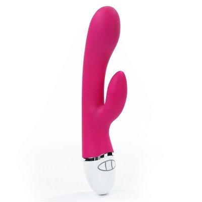 Dreamer vibromasseur Rabbit USB Rose rouge
