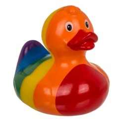 petit canard Multicouleur