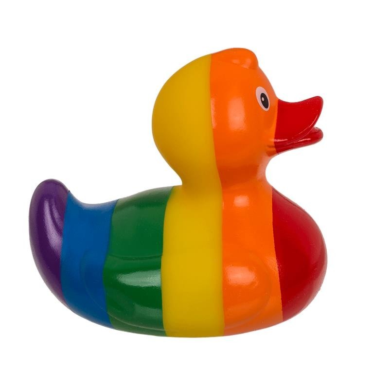petit canard Multicouleur