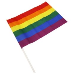drapeau Grand Couleurs LGBT+