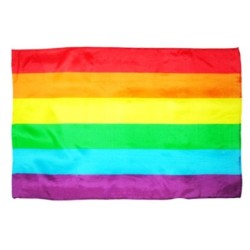 Drapeau grand Couleurs LGBT+