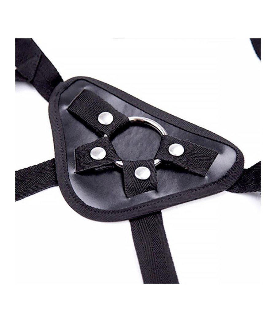 Alexia harnais Universel avec Ceinture reglable