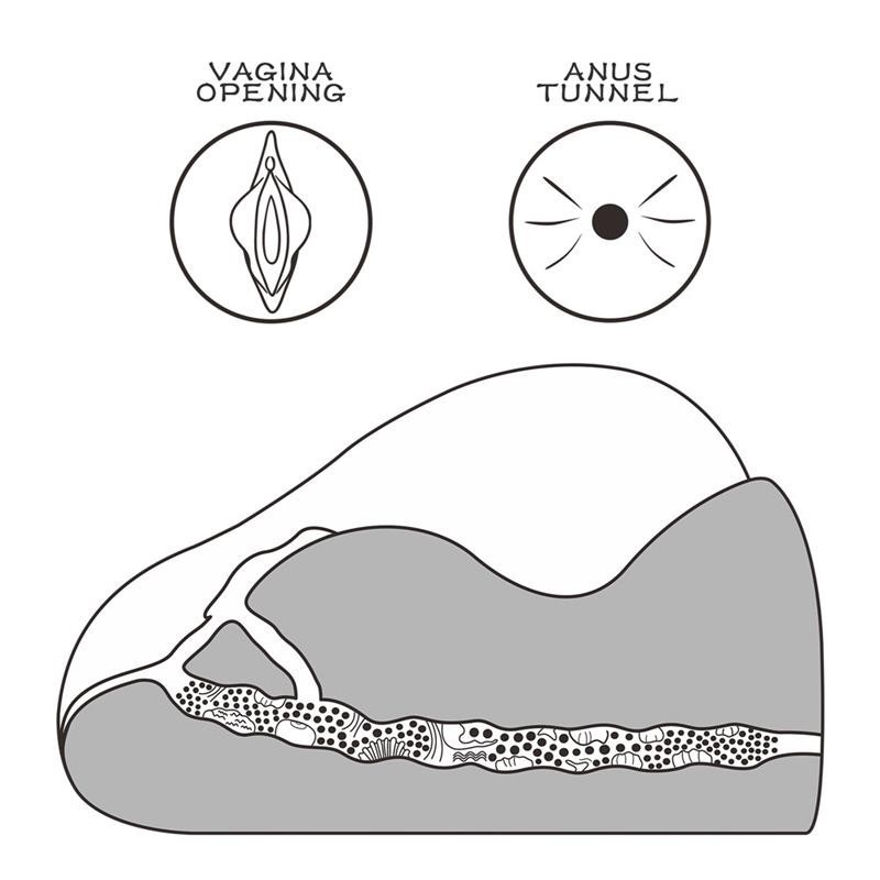 Masturbateur Streetgirls 2