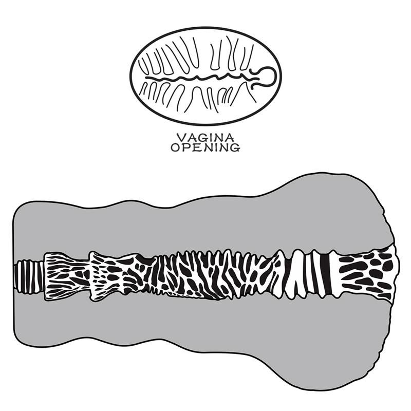 Masturbateur Aliens Pie 2