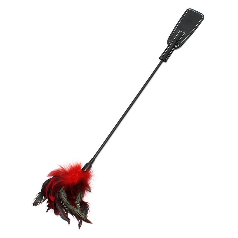 tapette et plumes stimulantes 2 en 1