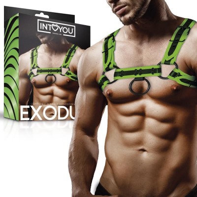 harnais Bondage pour poitrine que phosphorescent