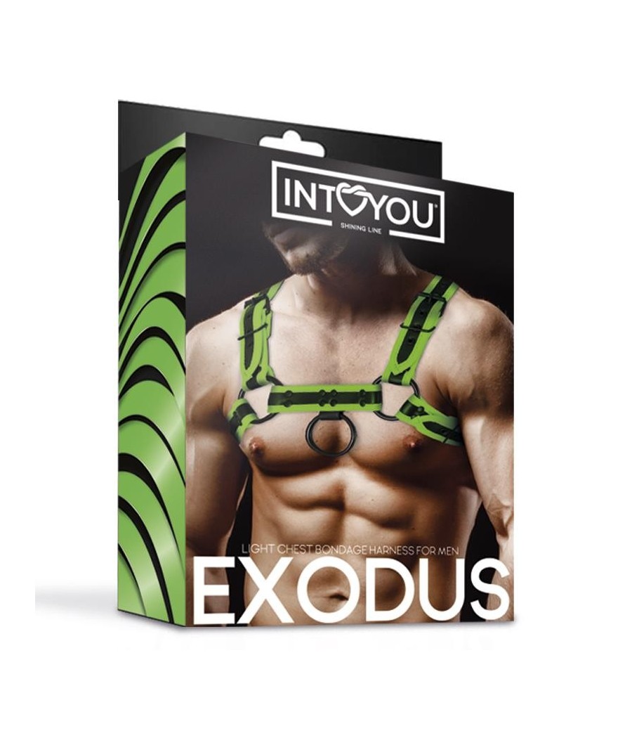harnais Bondage pour poitrine que phosphorescent