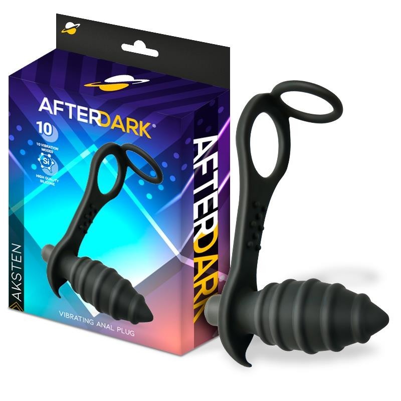 Aksten Plug Anal vibrant et Anneau pour Testicules