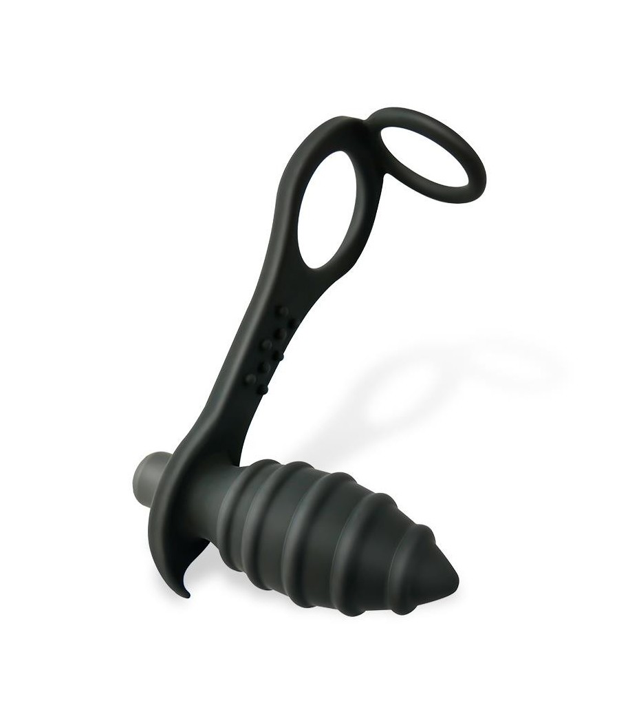 Aksten Plug Anal vibrant et Anneau pour Testicules
