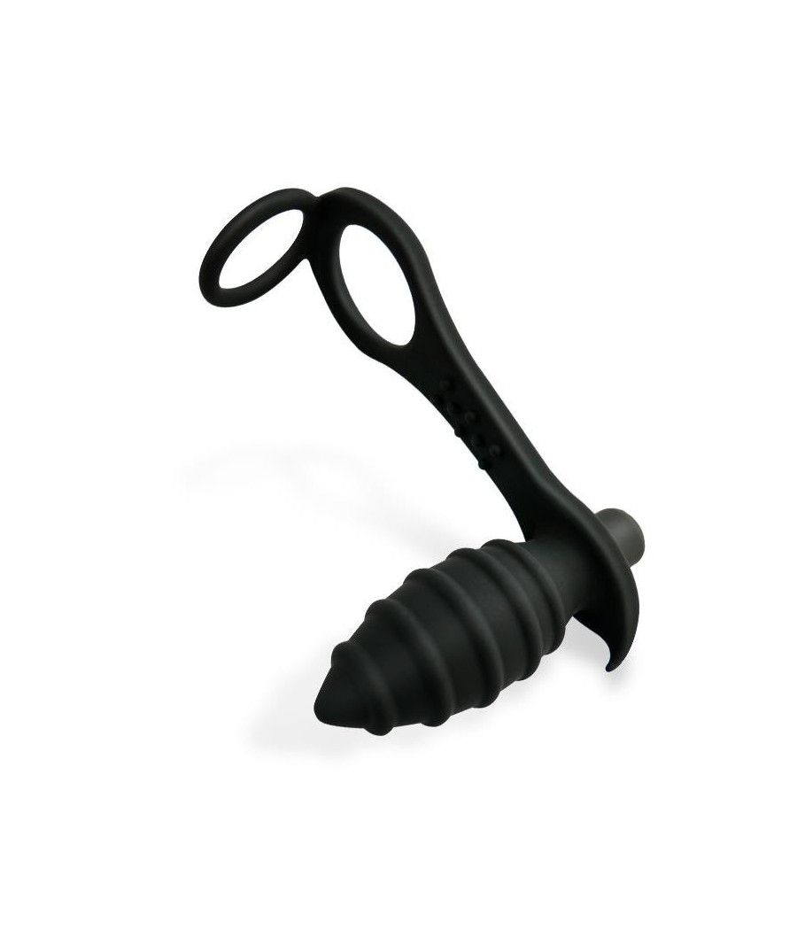 Aksten Plug Anal vibrant et Anneau pour Testicules