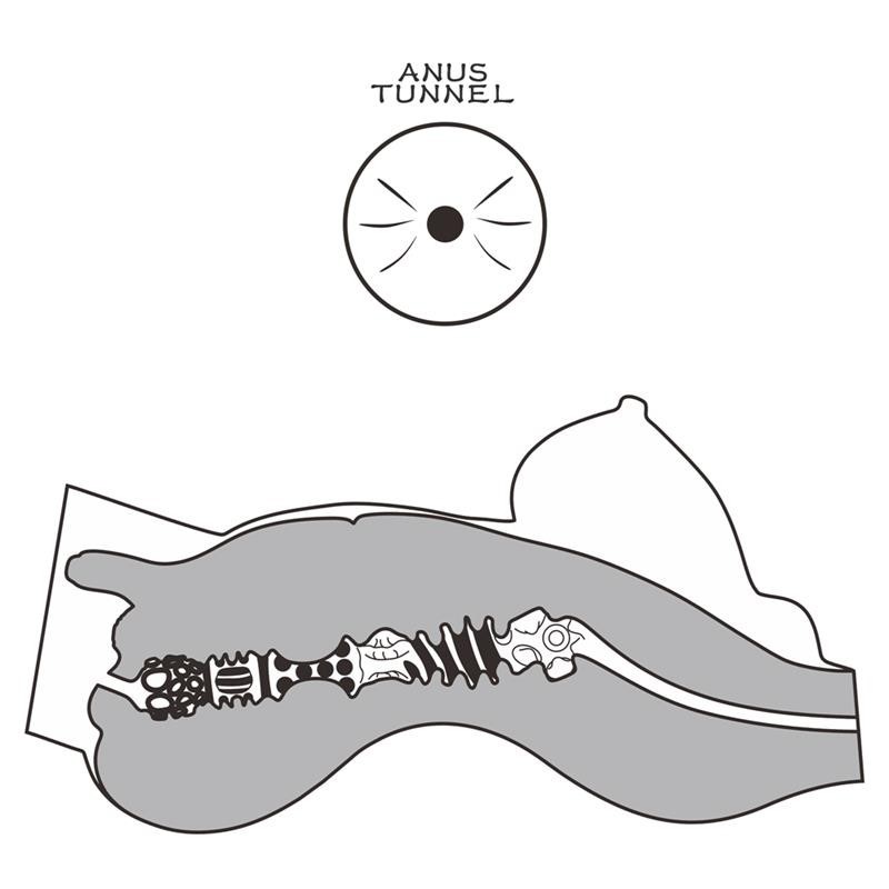 Masturbateur Streetgirls 8