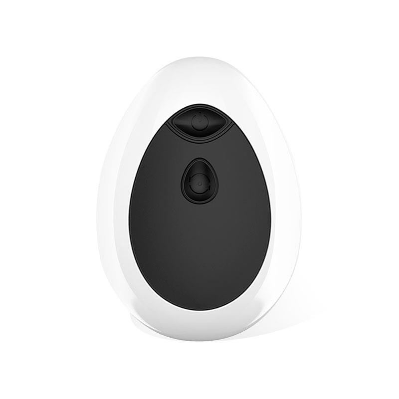 Dwen stimulateur Prostatique USB avec télécommande