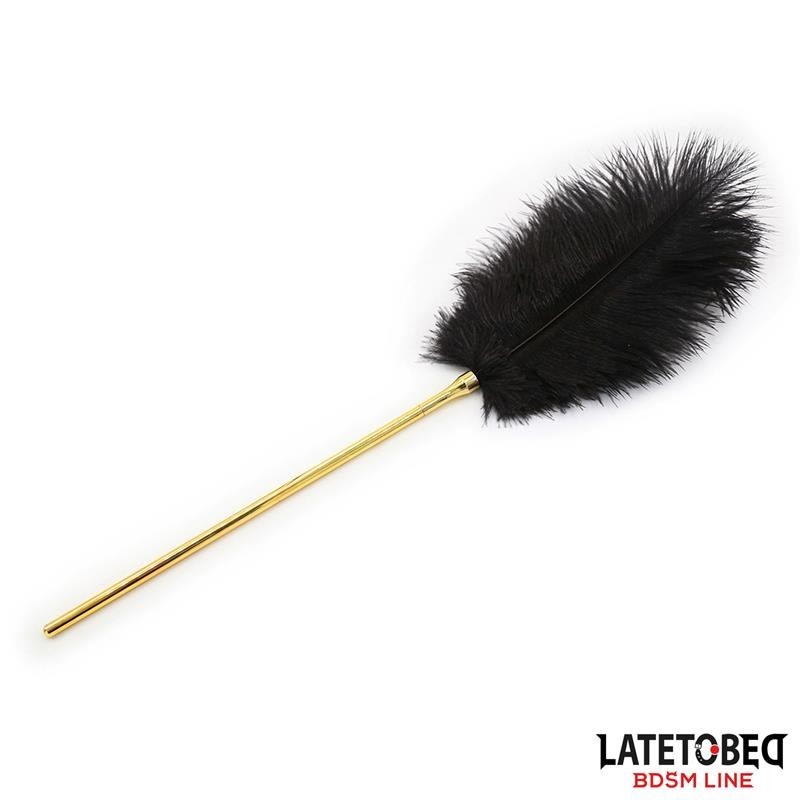 Stimulateur de plumes 41 cm