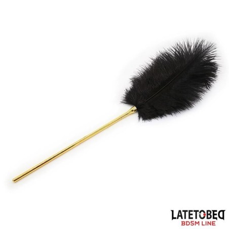 Stimulateur de plumes 41 cm