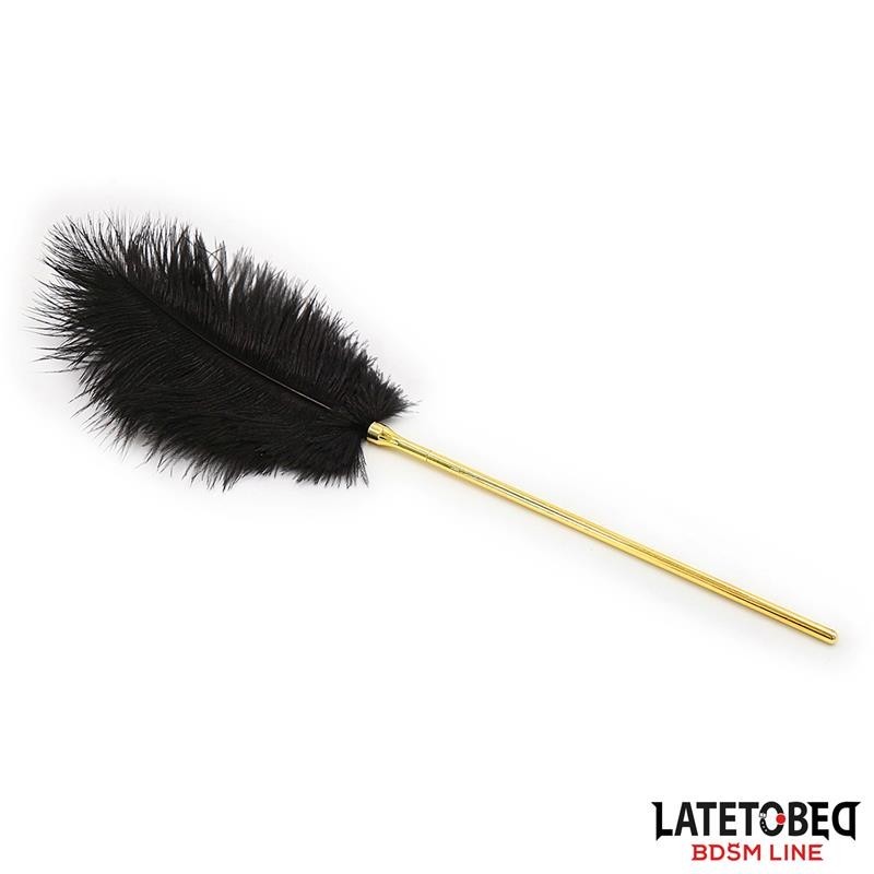 Stimulateur de plumes 41 cm