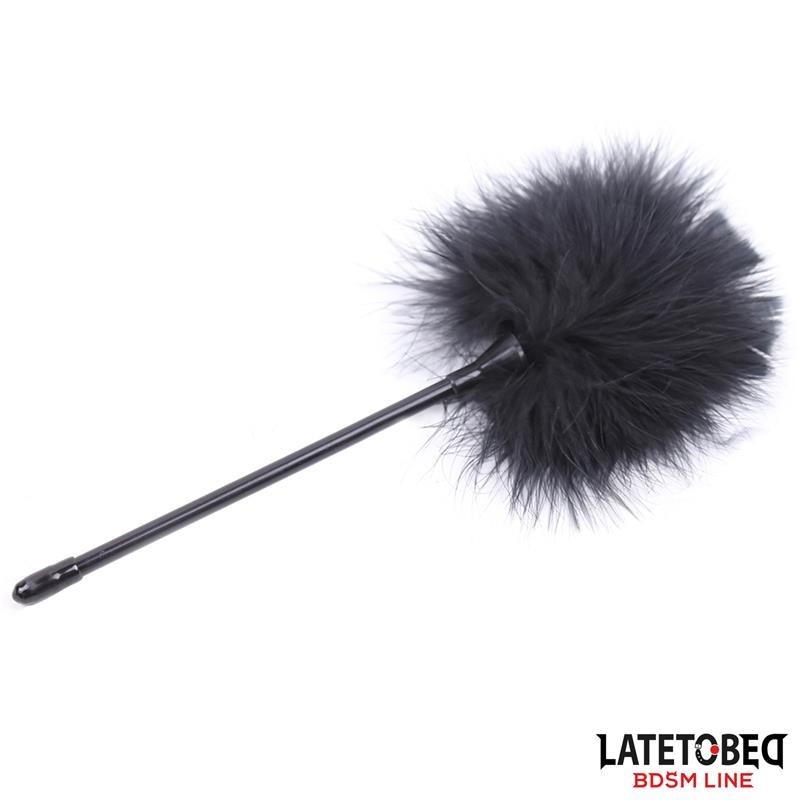 Stimulateur de plumes 27 cm
