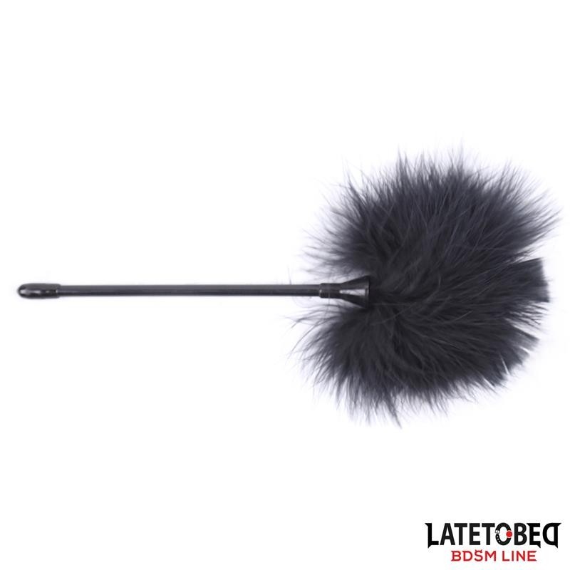 Stimulateur de plumes 27 cm