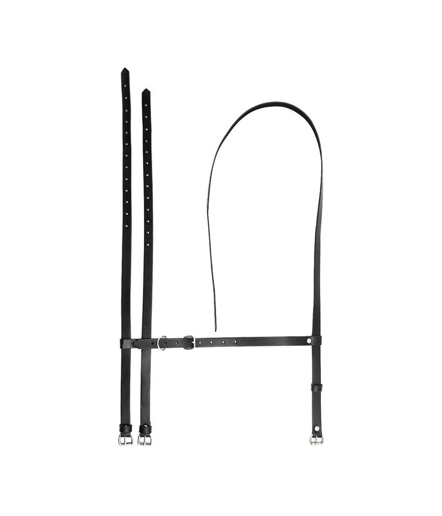 Martin harnais pour jambe et ceinture reglable