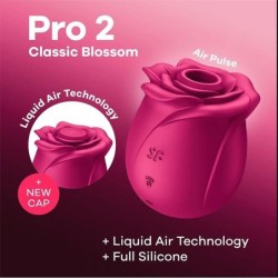 Aspirateur Pro 2 Classic Blossom