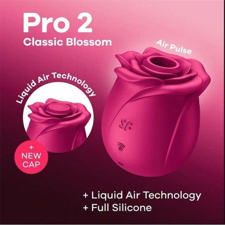 Aspirateur Pro 2 Classic Blossom