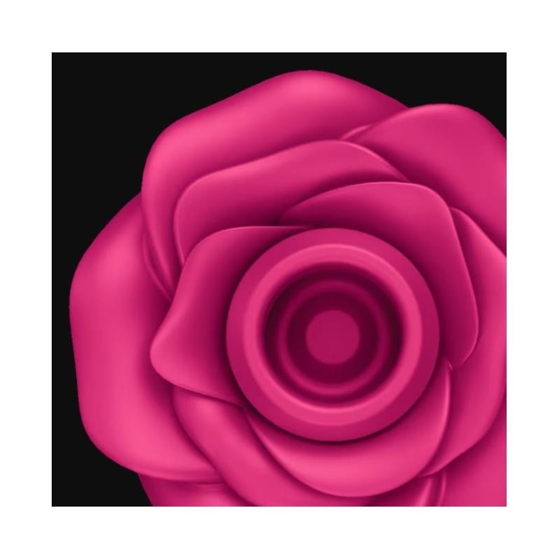 Aspirateur Pro 2 Classic Blossom