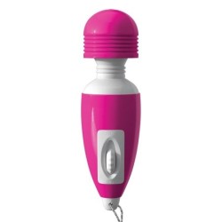 Wanachi Micro Massager rose