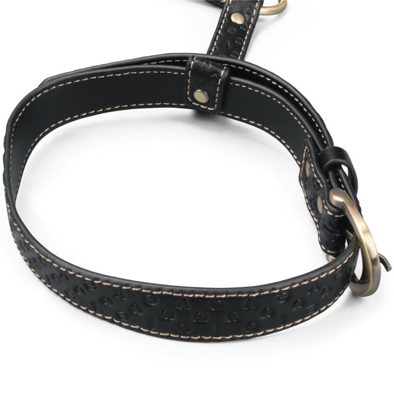 Rebellion Reign harnais de corp entier