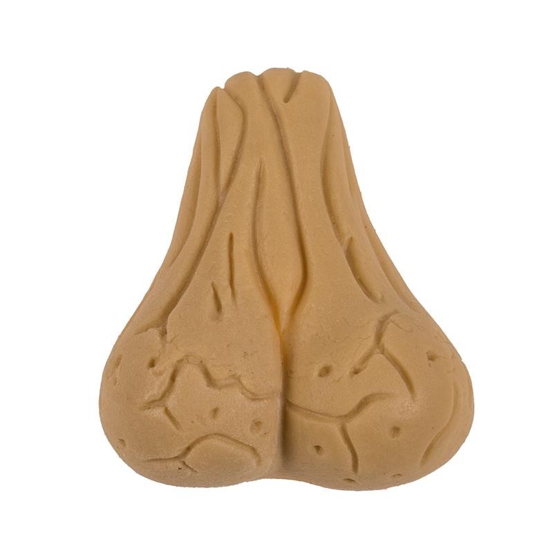 Testicule en croissance 4x3 cm