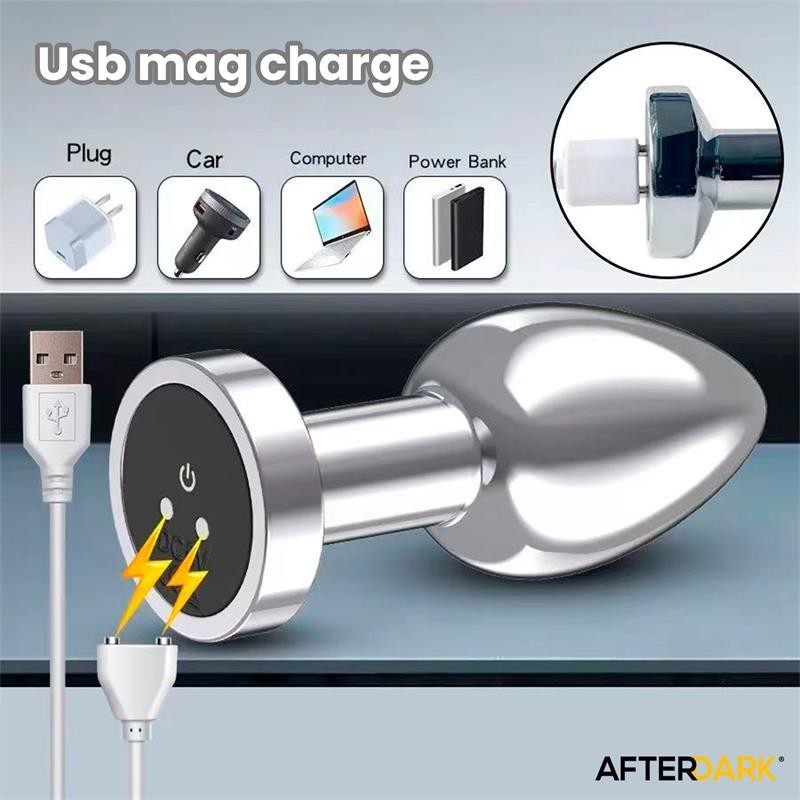 Dimpor Plug Anal chromé vibrant USB Magnétique Taille M