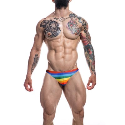 C4M03 micro slip arc-en-ciel Rainbow