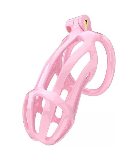 Gaine à pénis PC02 Rose