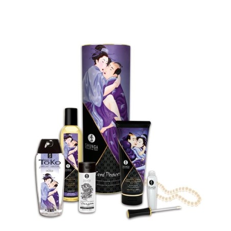 Shunga Kit Désirs Carnaux