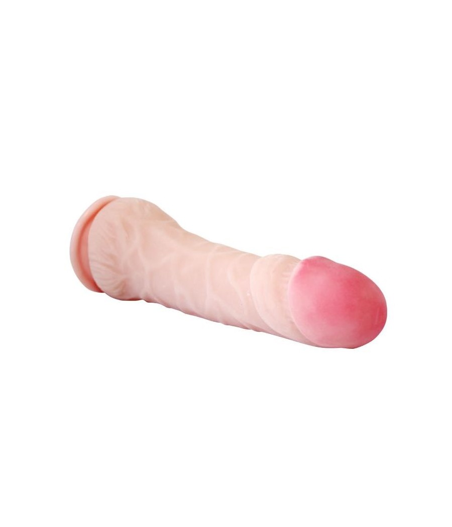 Baile Gode avec ventouse Couleur Naturel 23,5 cm