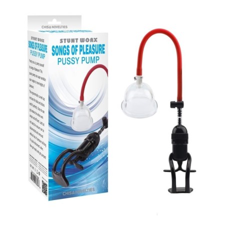 pompe pour vagin Chansons de plaisir