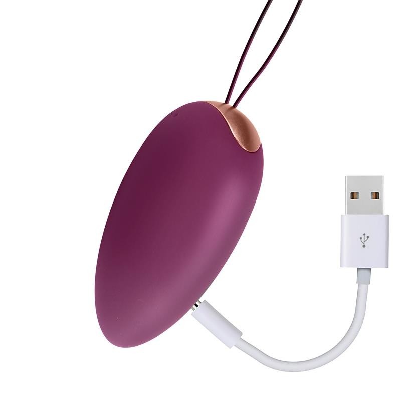 Guirlande 2.0 oeuf vibrant télécommande USB silicone liquide Inyectada