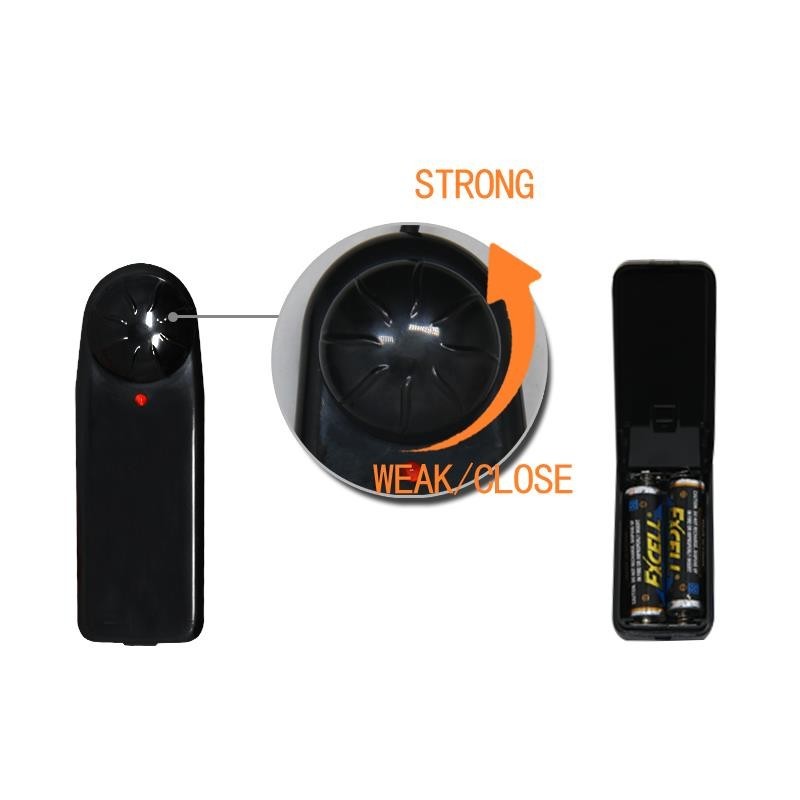 Baile harnais avec Gode Vibromasseur Naturel 15 cm