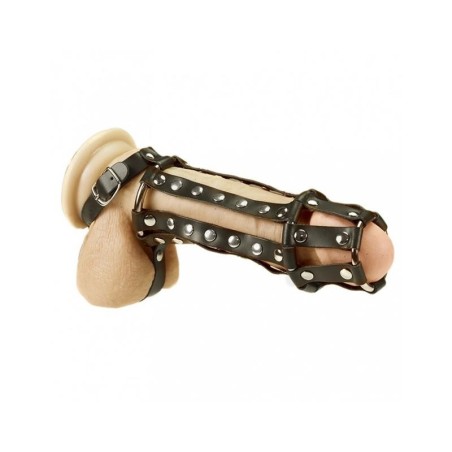 harnais Completo pour pénis et testicules