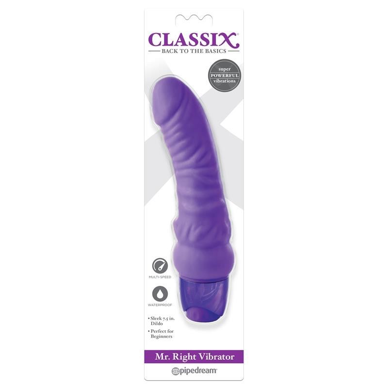 Vibromasseur Mr. Right mauve